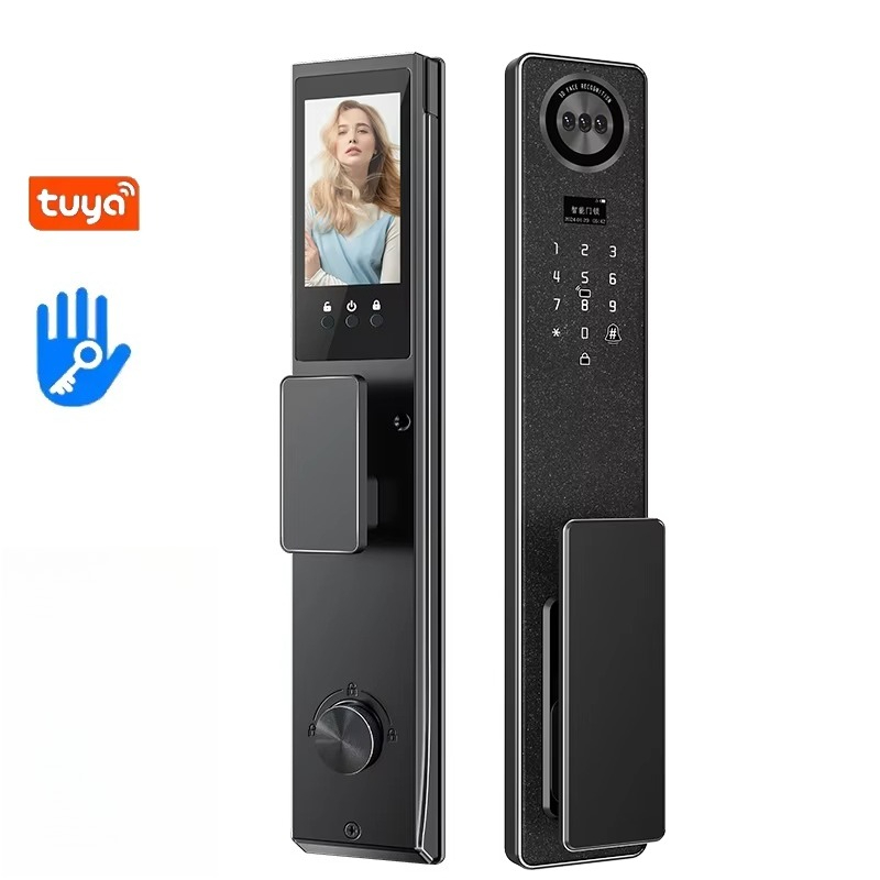 Home Security Electronics - Tuya WiFi Smart Door Lock, Home
