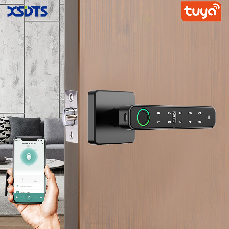 XSDTS Tuya Handle Fingerprint  - Home Security For Apartments review and price